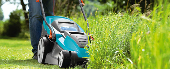 Çim Bakımı Nasıl Yapılır?