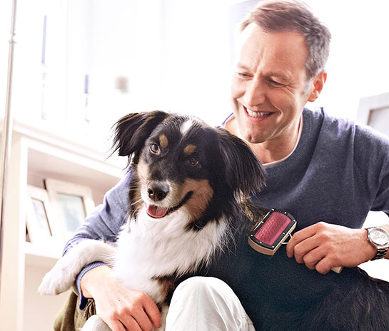 Hayvan Bakımı Nasıl Yapılır?